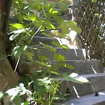 Logis Sorcier Tout Confort Avec Terrasse Aniane