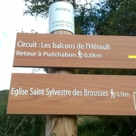 Daire L'auberge Du Sorcier