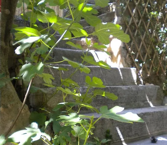 Logis Sorcier Tout Confort Avec Terrasse Aniane